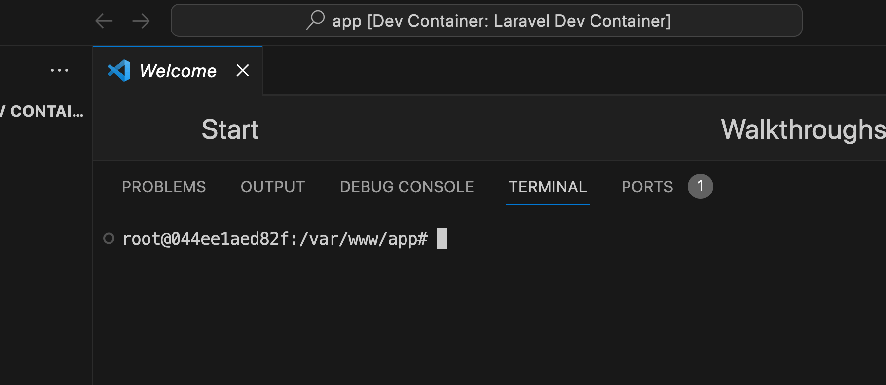 Dev Containerが立ち上がる